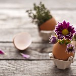 Oster-Basteltipps - Blume in Ei