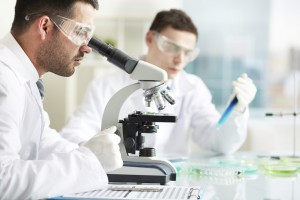 Forschung mit Stammzellen – ein Überblick