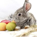 Warum der Glaube an den Osterhasen wichtig ist