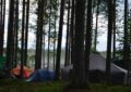 Mehr als nur Ferienbetreuung: Das Ferienlager als Gewinn für die ganze Familie